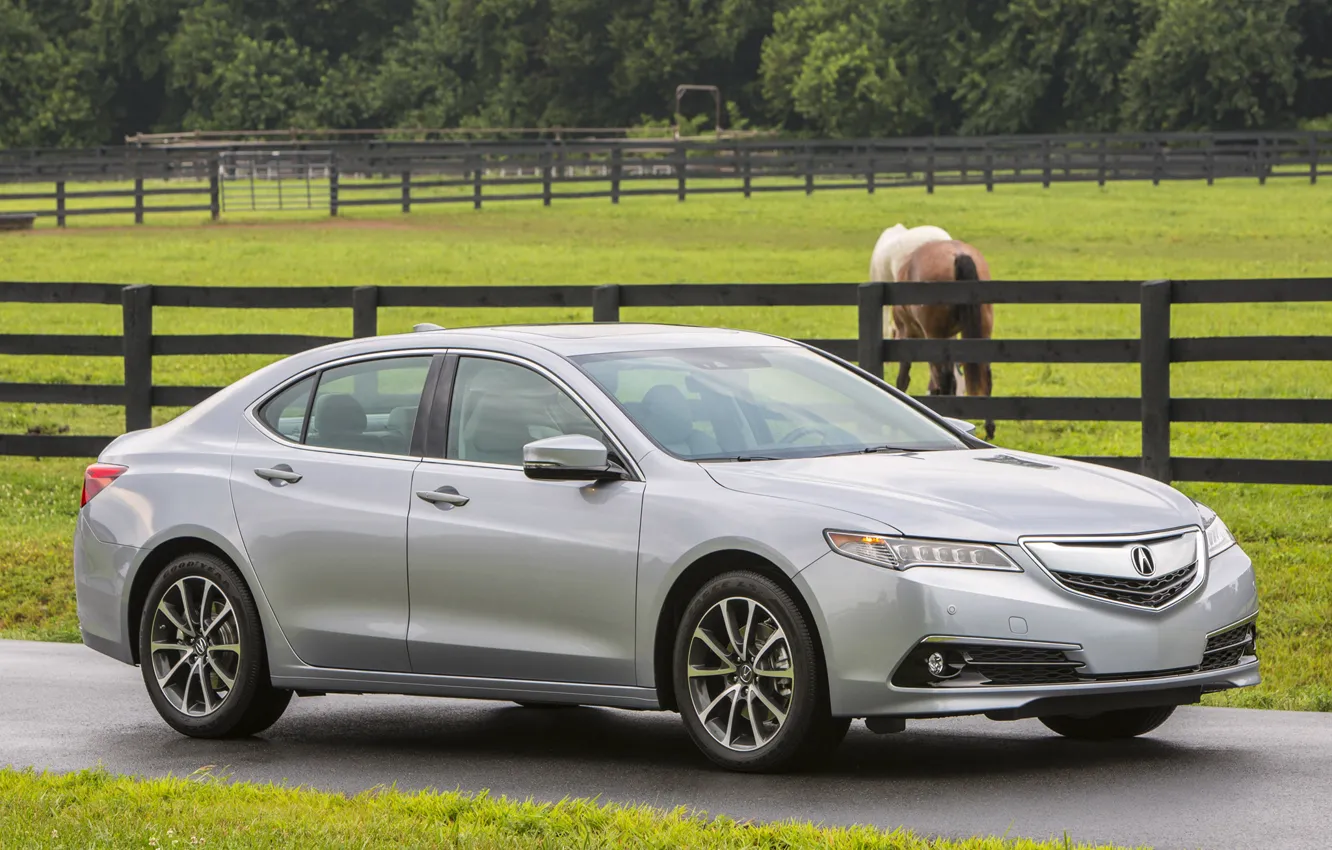 Photo wallpaper Sedan, Acura, TLX
