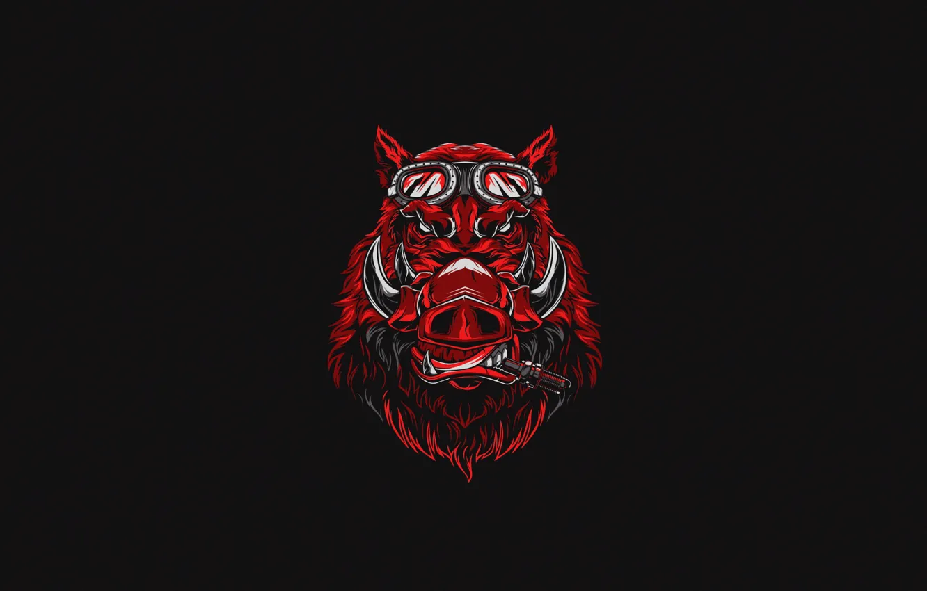 Photo wallpaper face, background, animal, vector, minimalism, boar, design, art