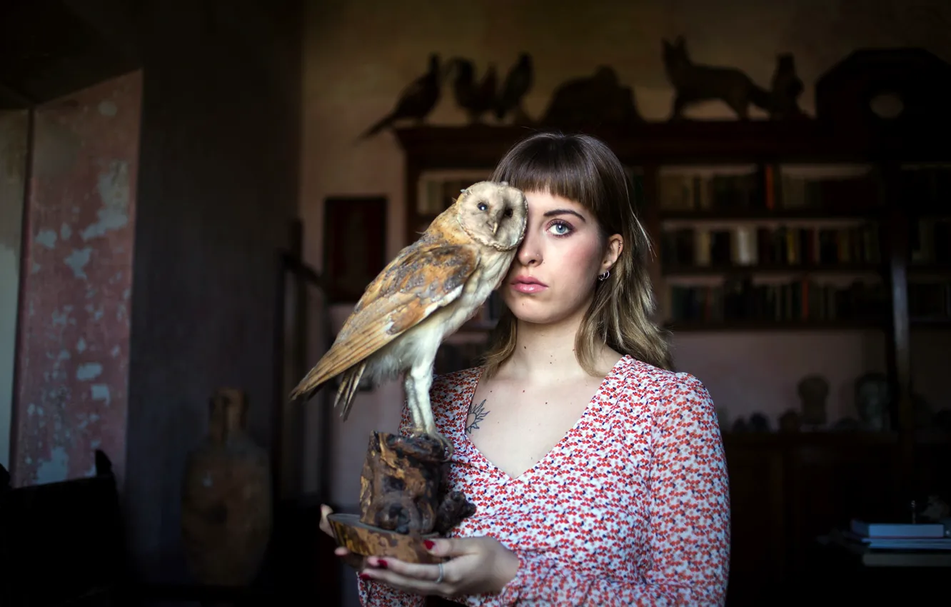 Photo wallpaper girl, owl, stuffed