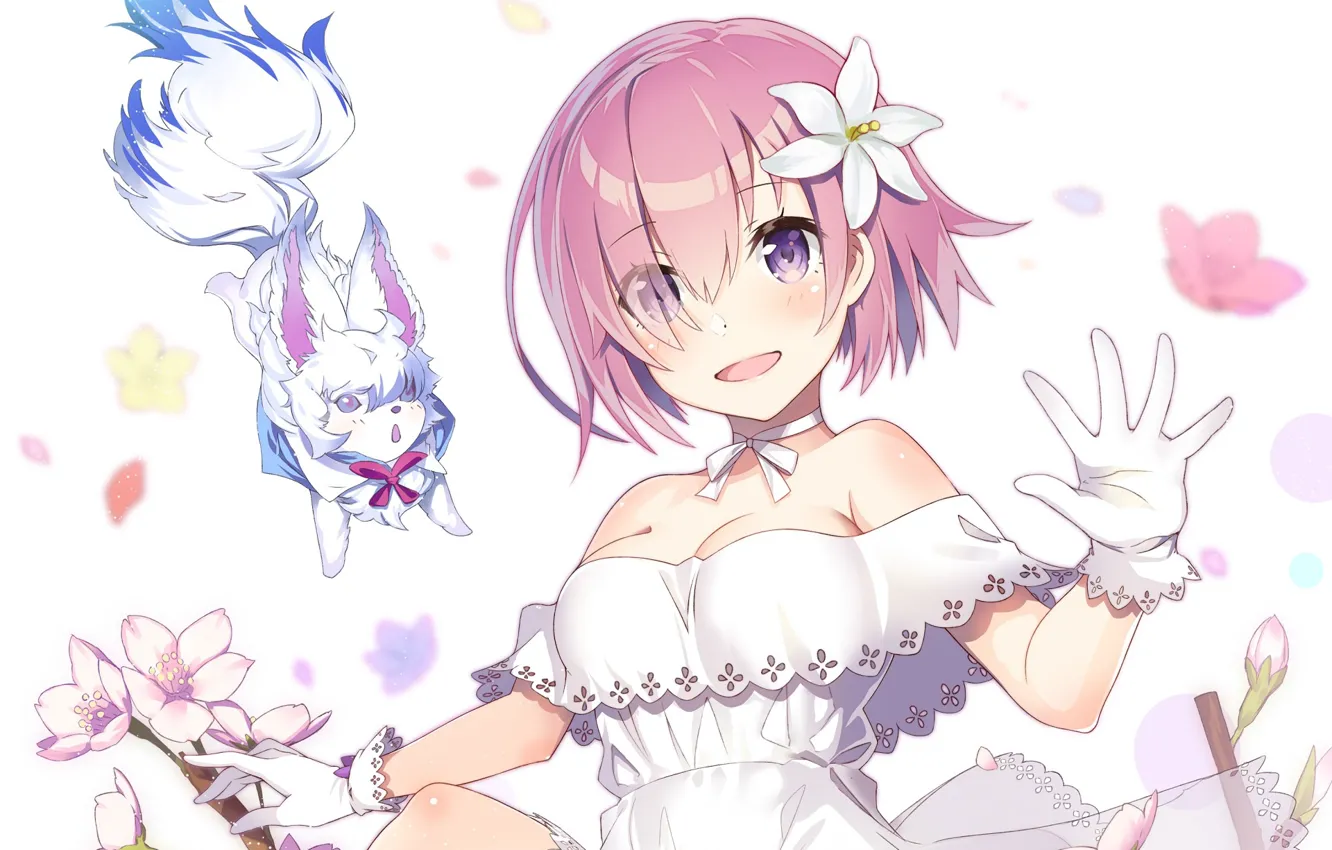 Photo wallpaper girl, dog, Fate / Grand Order, The destiny of a great campaign