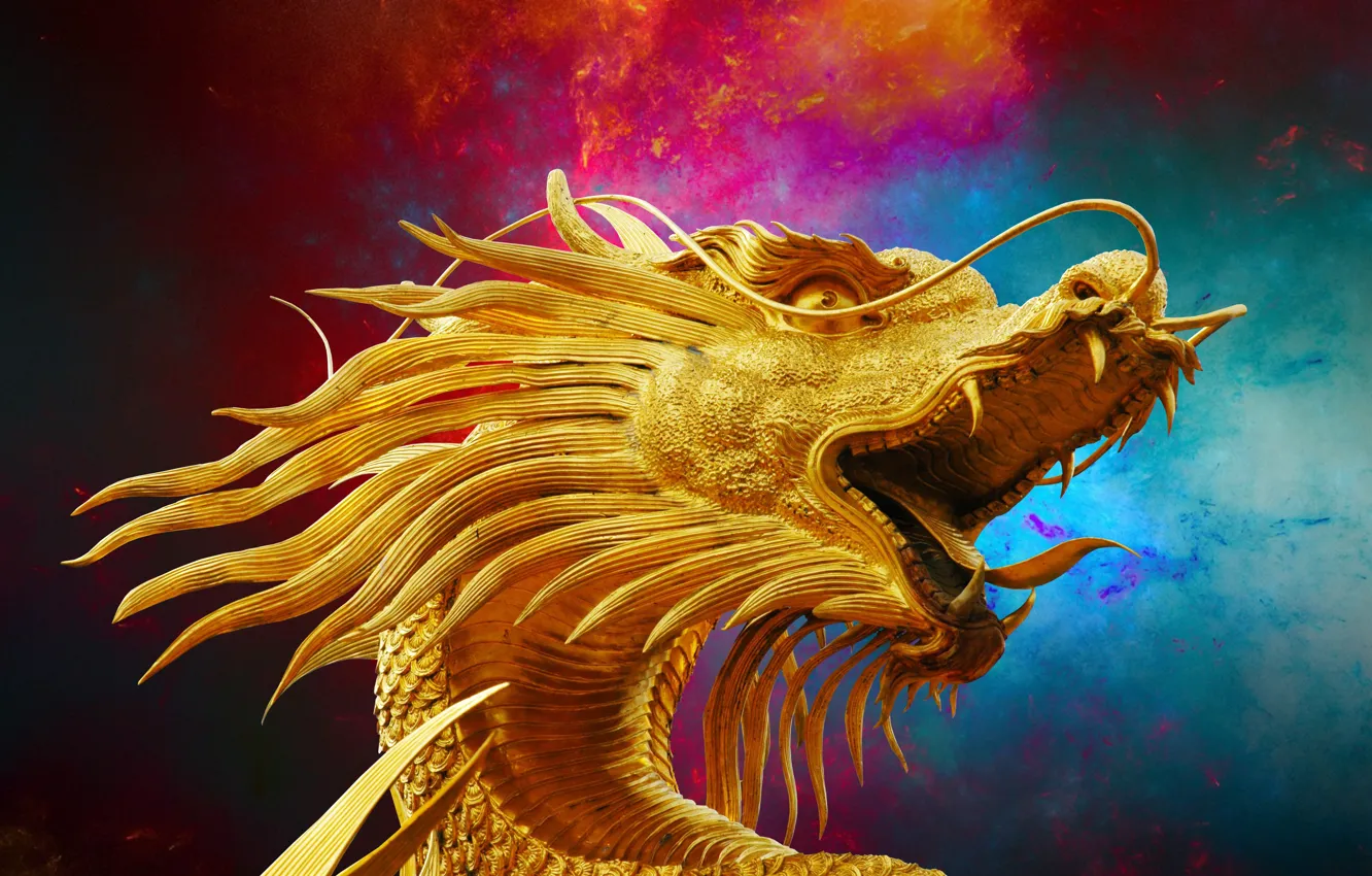 Photo wallpaper language, look, face, dragon, mouth, fangs, sculpture, gold