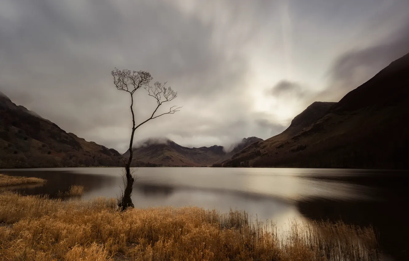 Photo wallpaper trees, mountains, England, Buttermere Lake