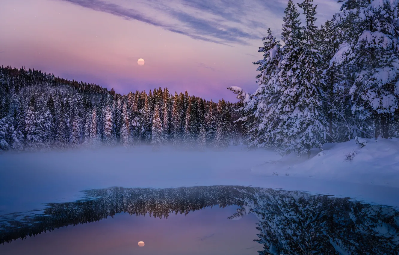 Photo wallpaper winter, forest, snow, nature, lake, the moon, the evening, haze