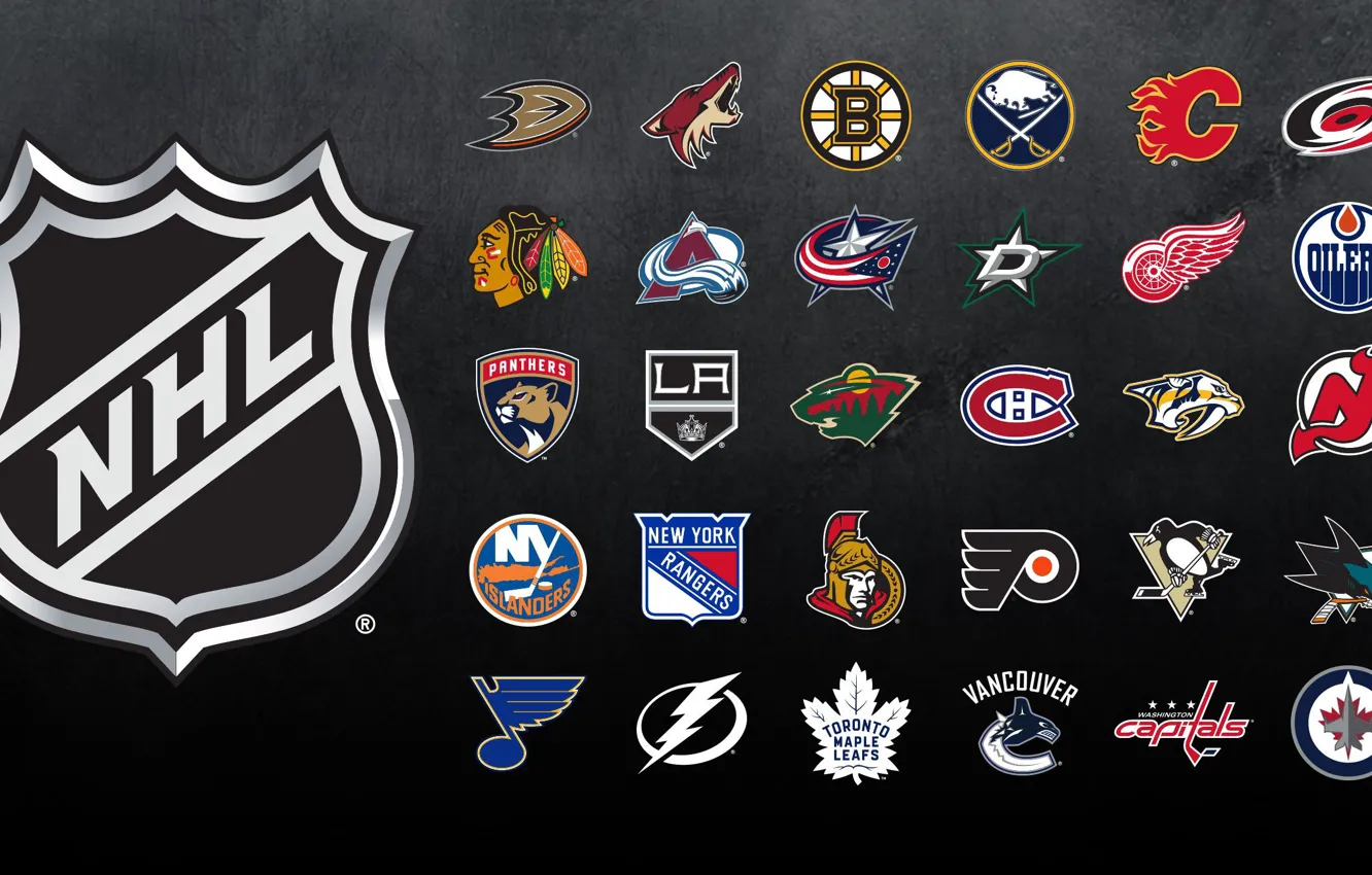 Photo wallpaper black background, NHL, NHL, black background, team logos, professional hockey clubs, team logos, professional hockey …