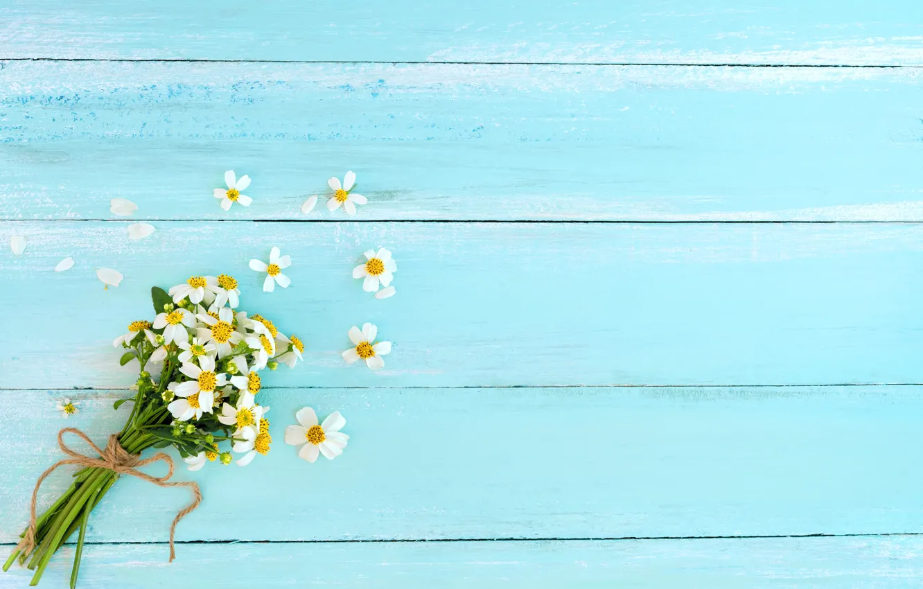 Photo wallpaper flowers, chamomile, bouquet, wildflowers