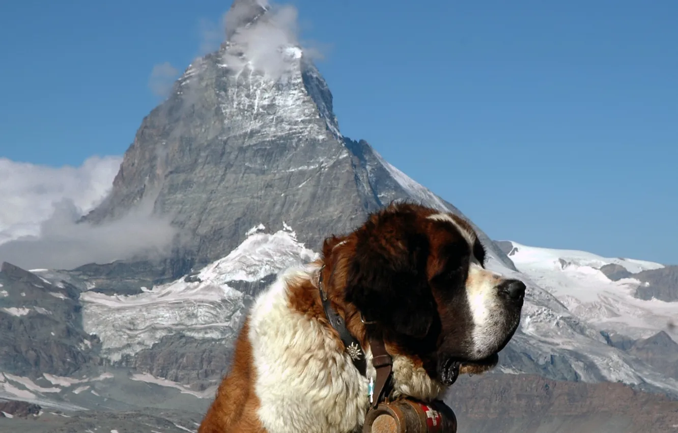 Photo wallpaper Alps, St. Bernard, Matterhorn