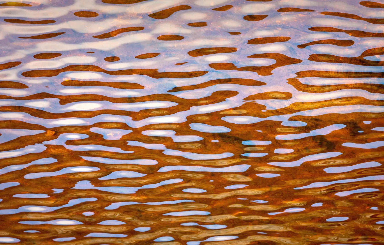 Photo wallpaper water, transparency, glare, ruffle