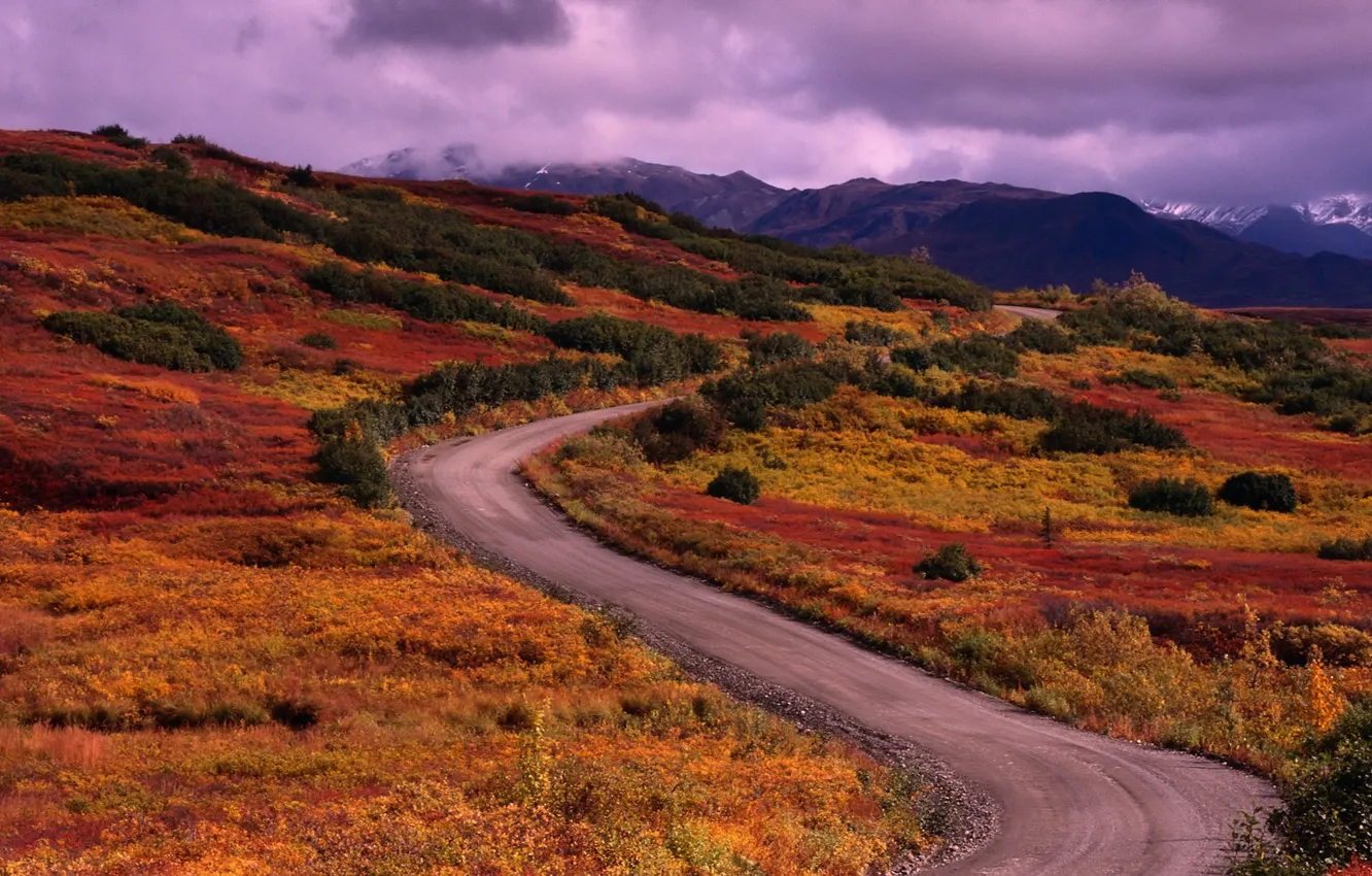 Photo wallpaper road, grass, clouds, mountains, 156