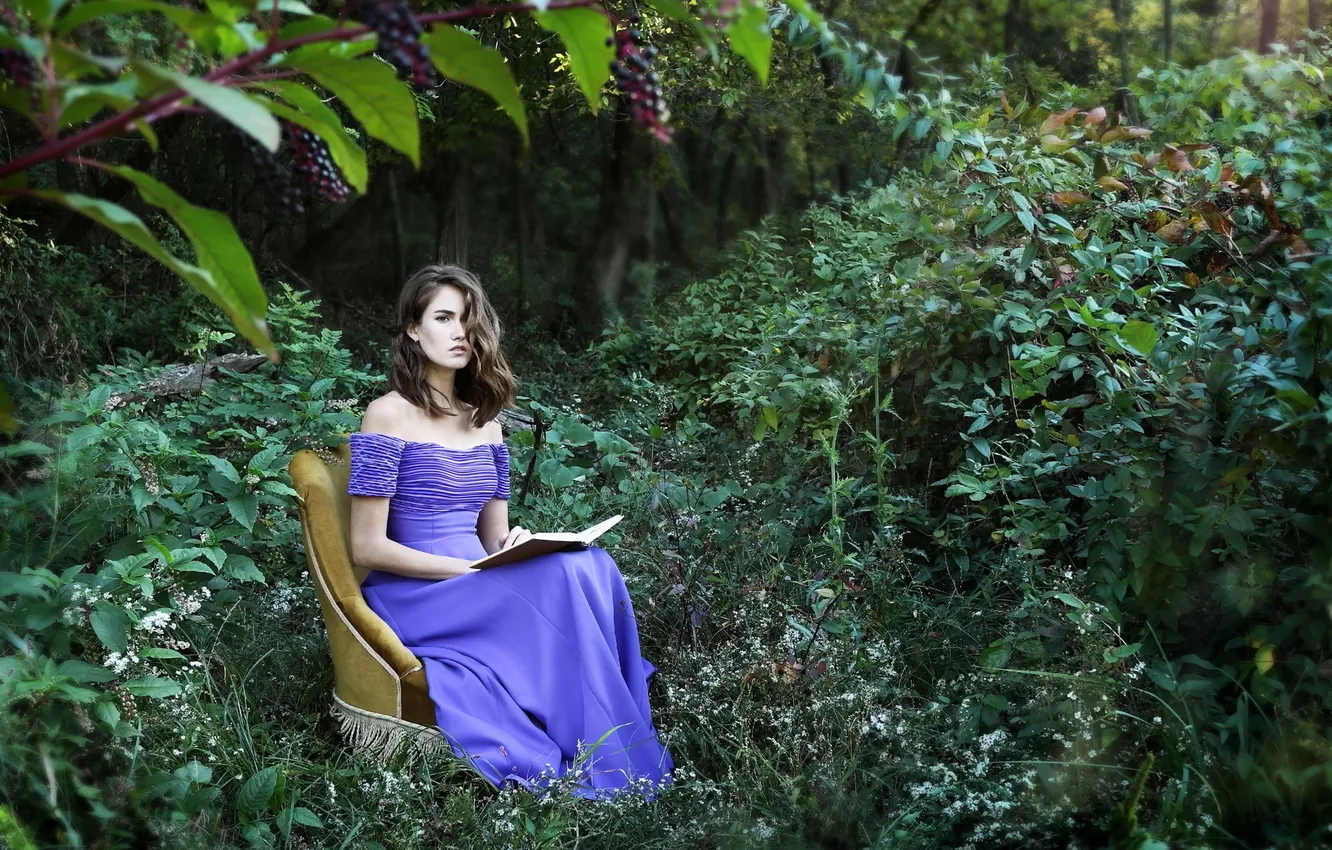 Photo wallpaper girl, background, chair