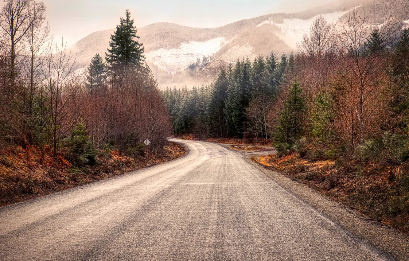 Photo wallpaper road, forest, mountains, nature, Vancouver, Road to Fairy Lake