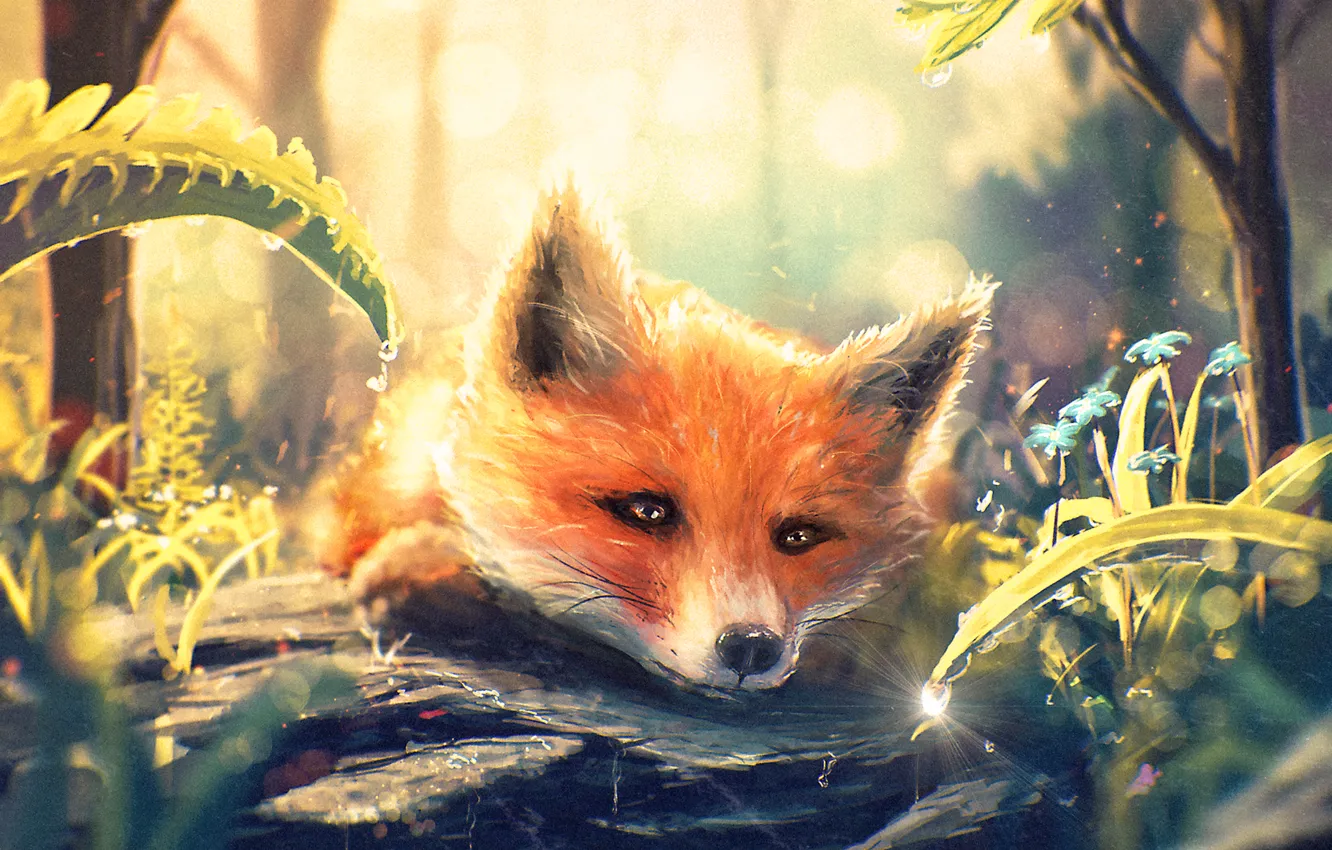 Photo wallpaper forest, grass, drops, art, muzzle, Fox, Fox, fox