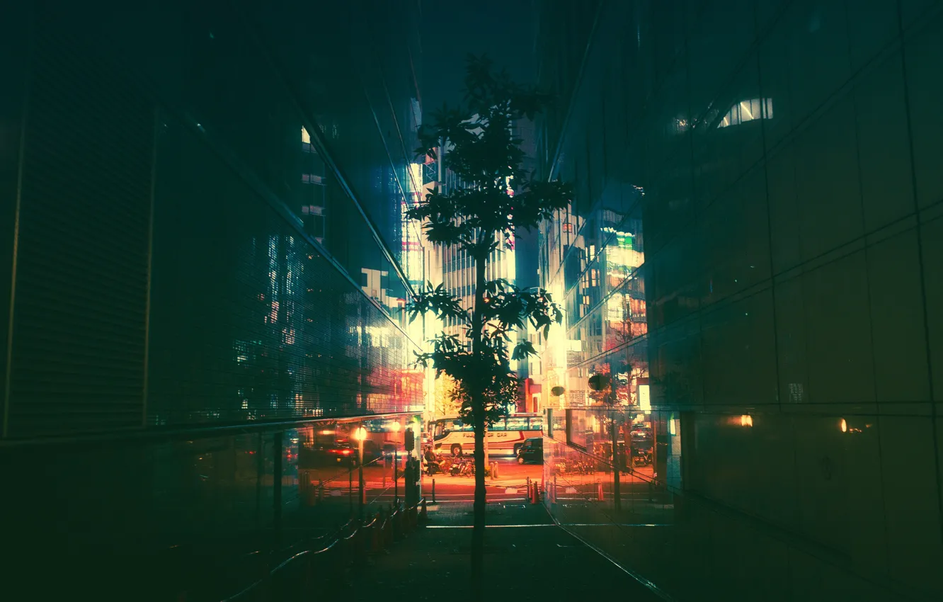 Photo wallpaper light, trees, night, the city, Tokyo, Tokyo, lane, Masashi Wakasa