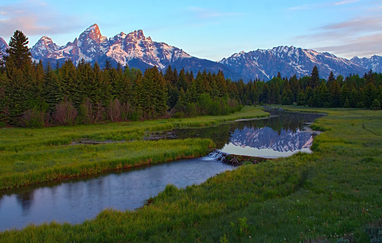 Photo wallpaper forest, the sky, grass, mountains, river, thresholds