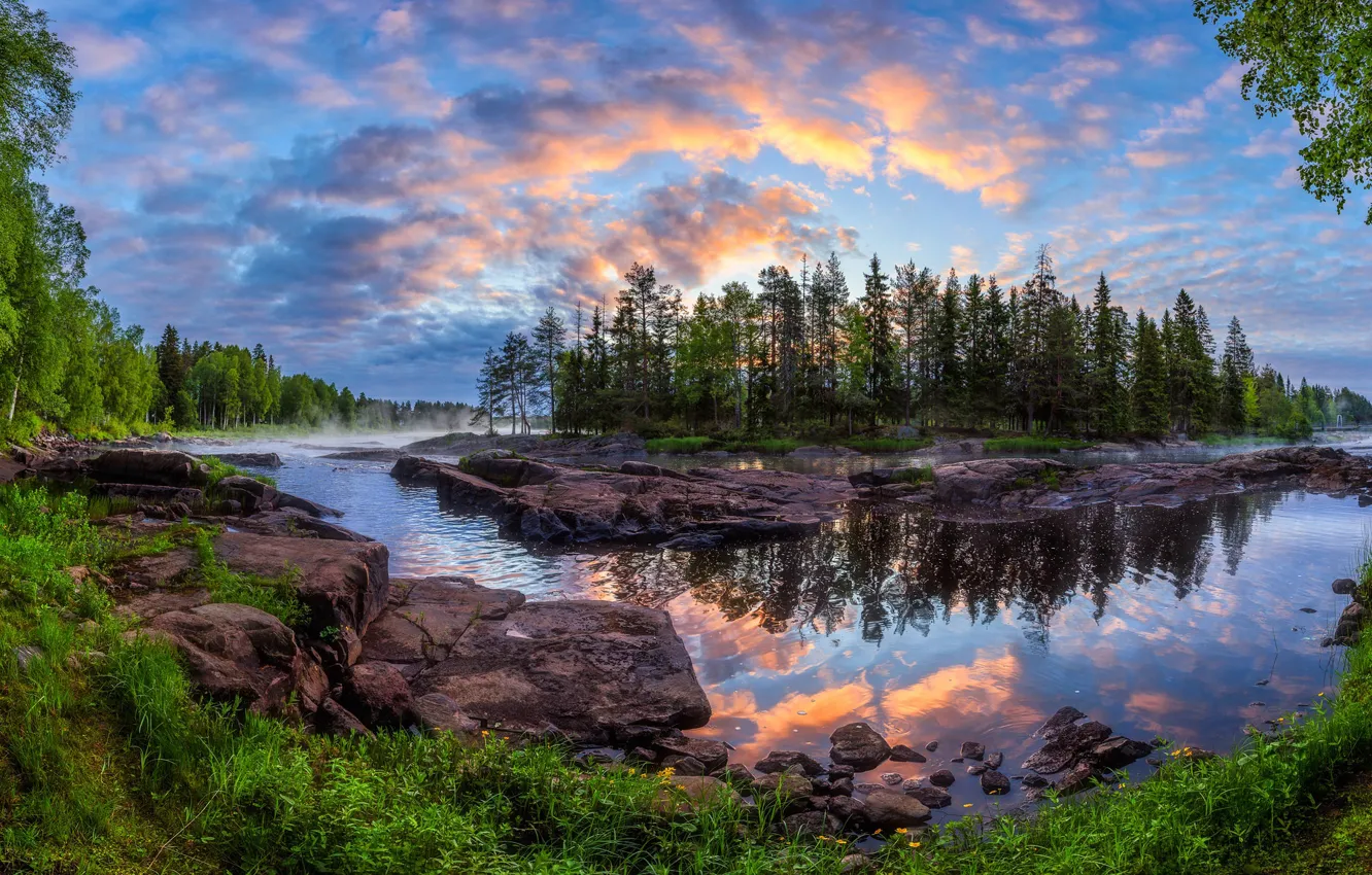 Photo wallpaper forest, trees, reflection, river, dawn, island, morning, Finland