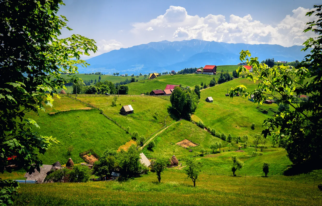 Photo wallpaper field, mountains, meadow, Romania, Brasov, Brasov