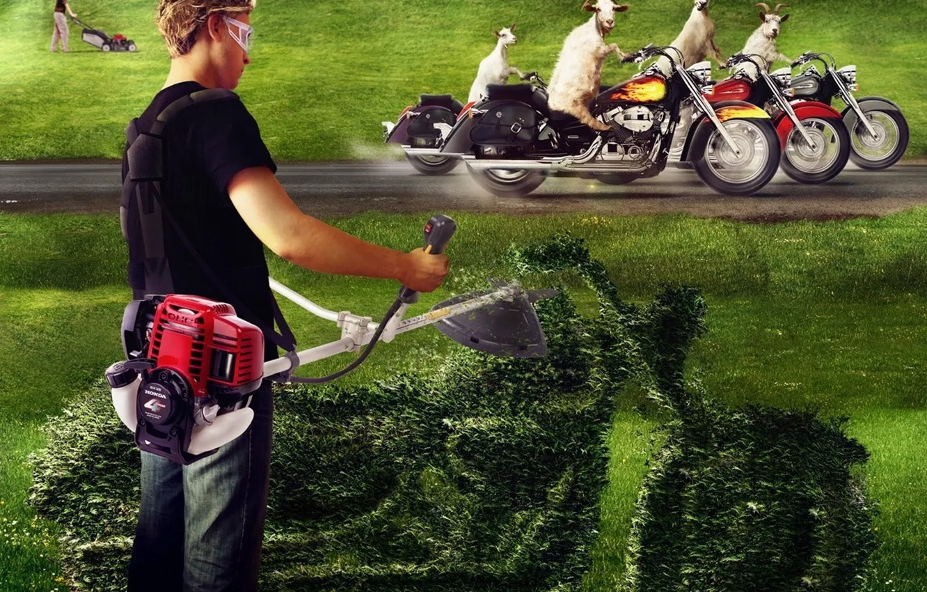 Photo wallpaper grass, motorcycle, lawnmower, goat