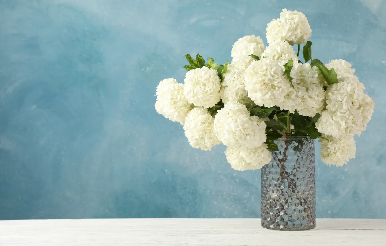Photo wallpaper vase, white, hydrangeas