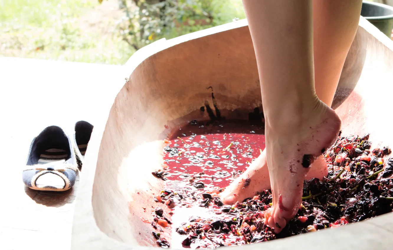 Photo wallpaper girl, wine, trough, grapes, legs, Vanda Lust