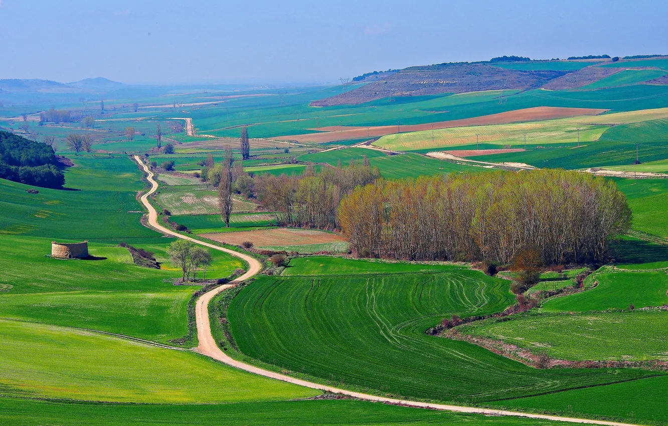 Photo wallpaper road, field, grass, trees, mountains, hills, Spain, Valladolid
