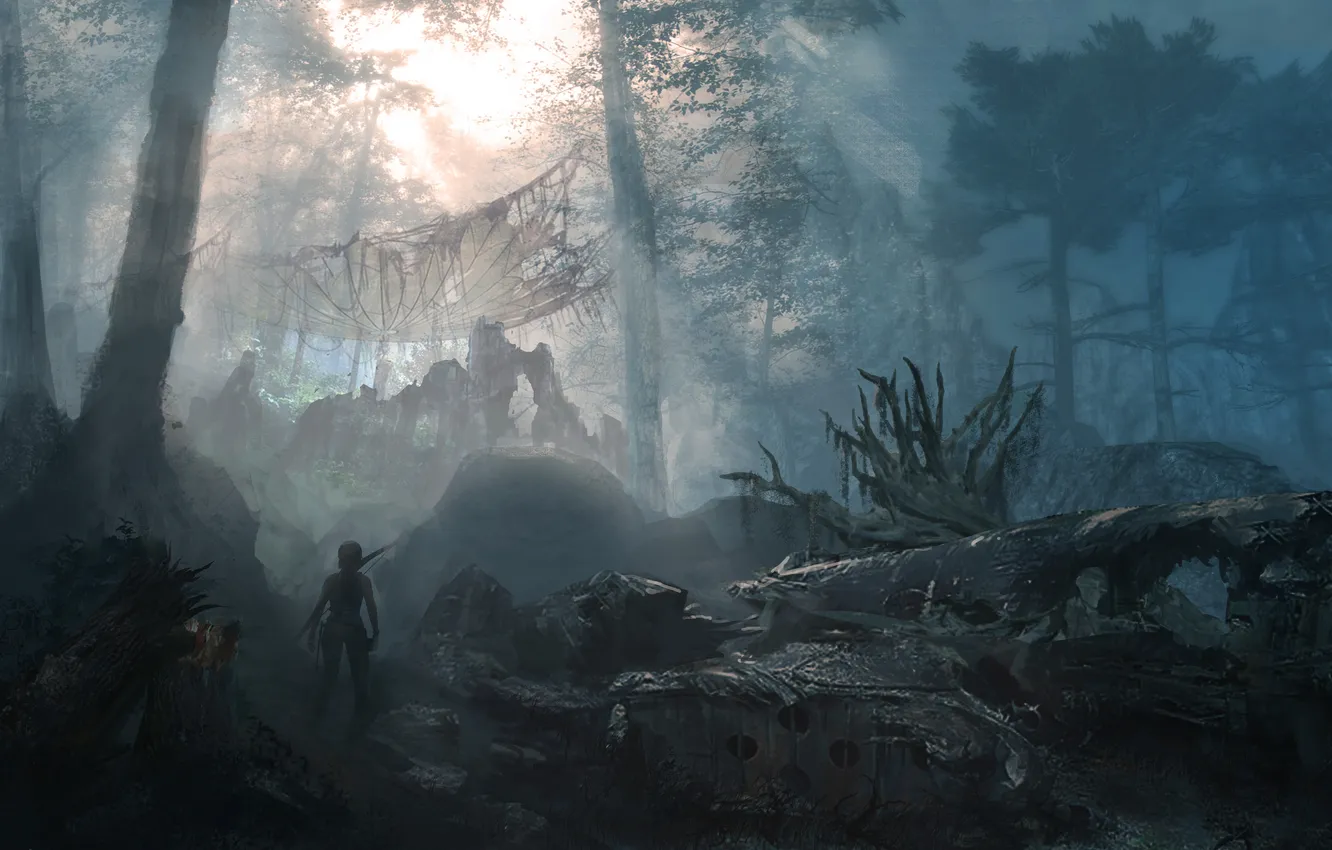 Photo wallpaper forest, girl, trees, Tomb Raider, the plane, Tomb raider