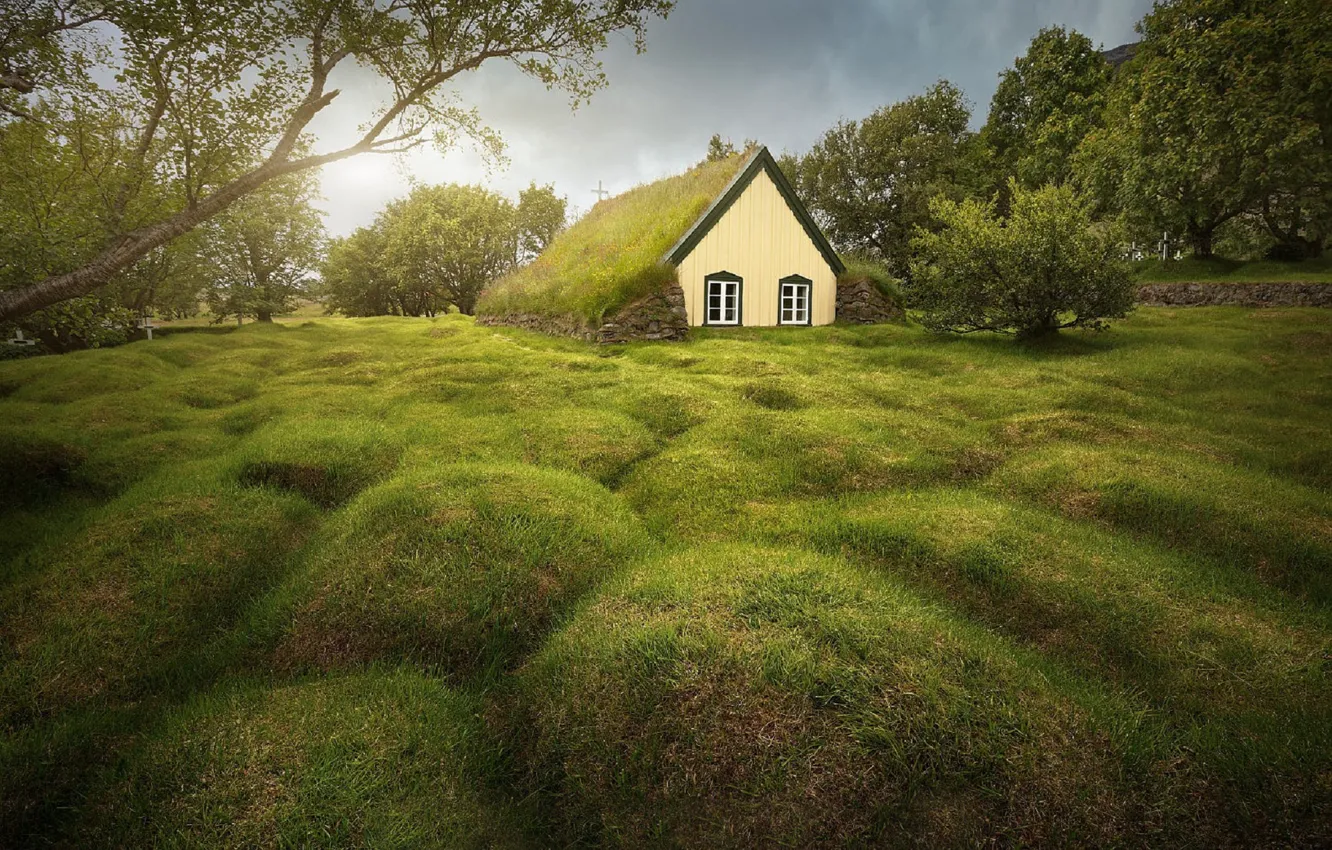Photo wallpaper roof, greens, field, forest, grass, trees, house