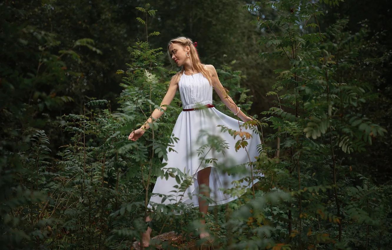 Photo wallpaper forest, nature, Eugene, Evgeny Smolsky