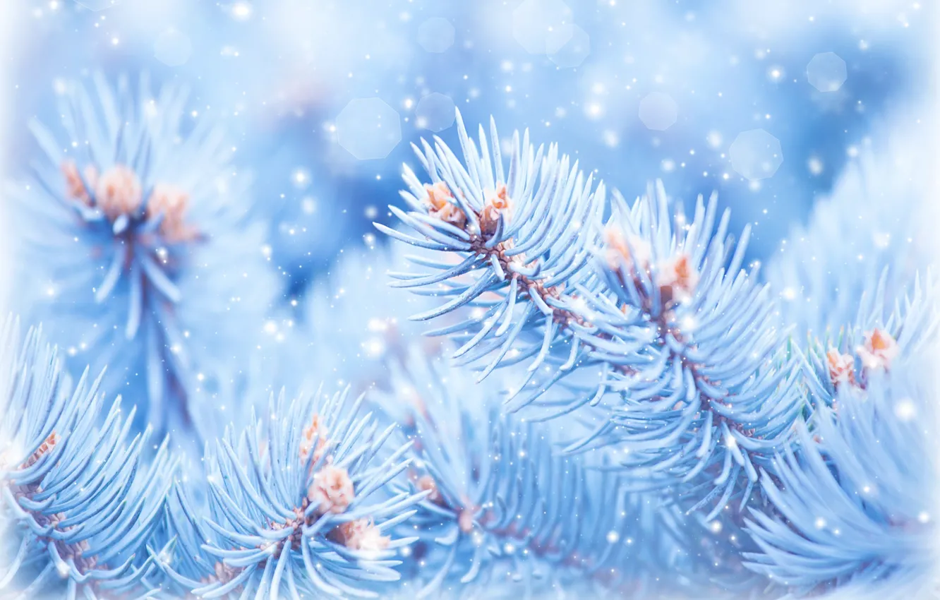 Photo wallpaper holiday, new year, Christmas, Christmas, New Year