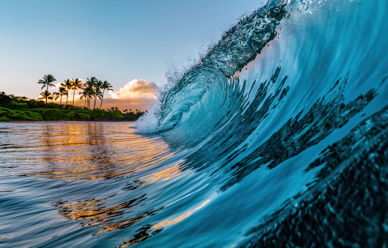Photo wallpaper Nature, Beach, Wave, Palm trees, Hawaii, Beauty, Nature, Hawaii