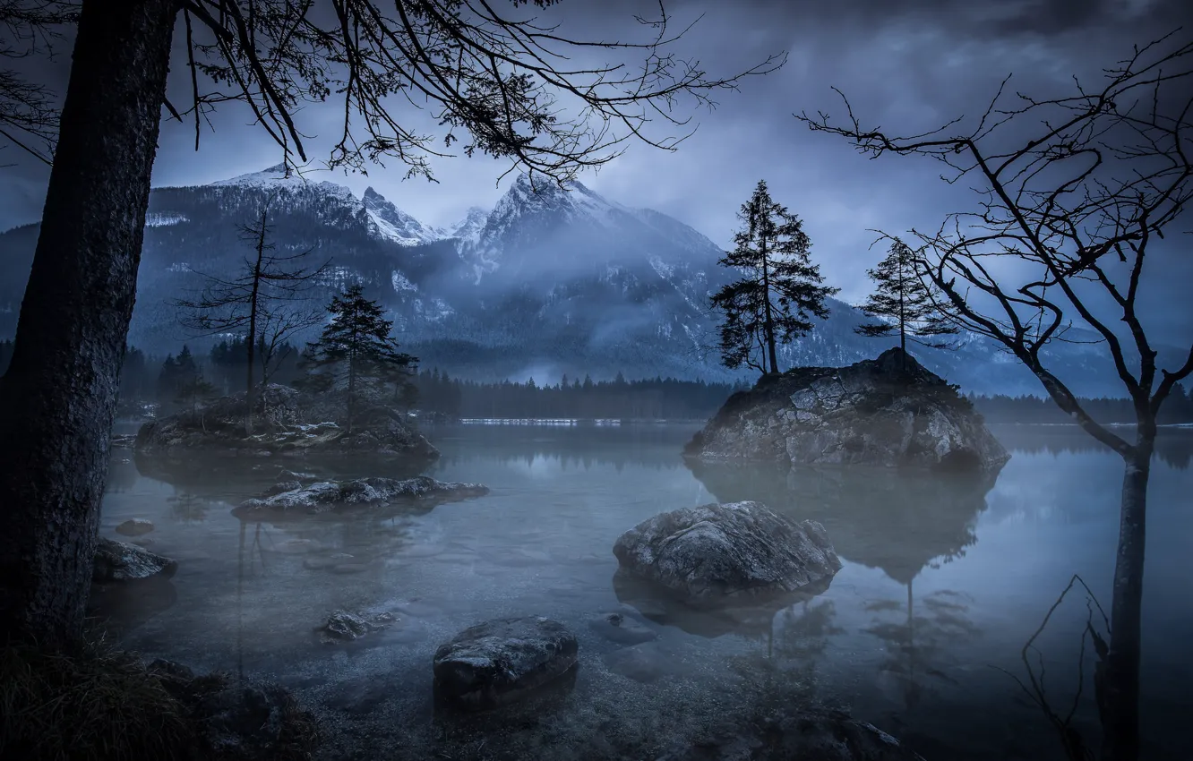 Photo wallpaper trees, mountains, night, nature, lake, the evening