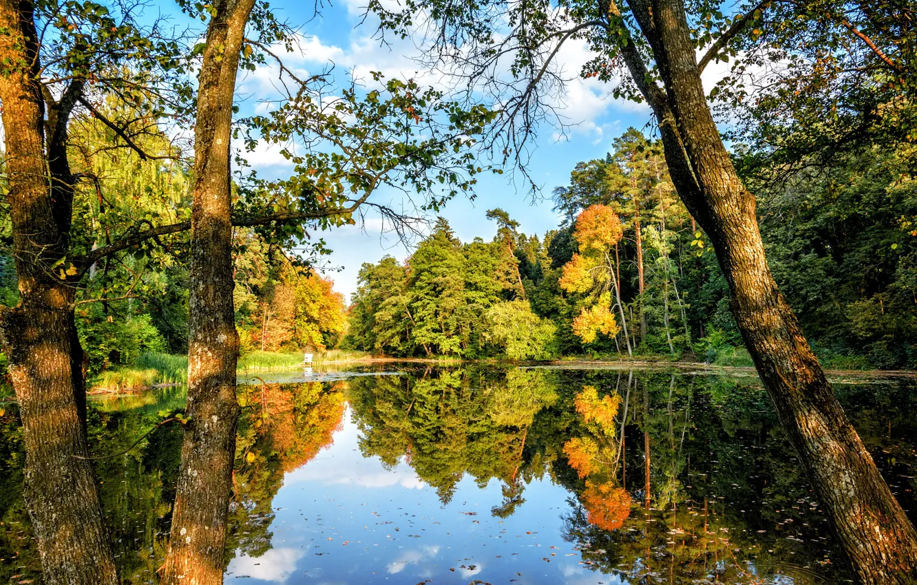Photo wallpaper autumn, the sky, clouds, trees, river, Ukraine, Trostyanets, Sumska oblast