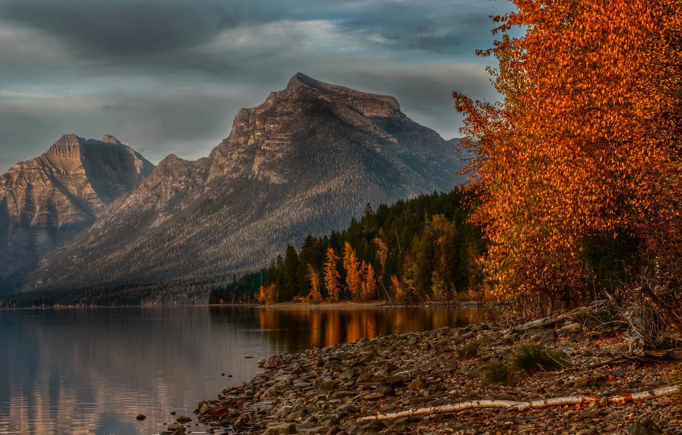 Photo wallpaper autumn, trees, mountains, lake