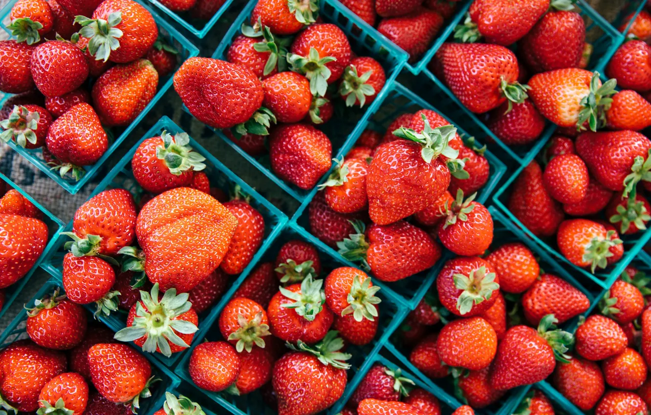 Photo wallpaper berries, strawberry, a lot