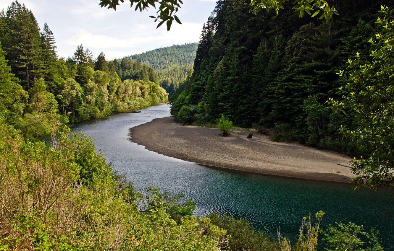 Photo wallpaper forest, the sky, mountains, river, slope
