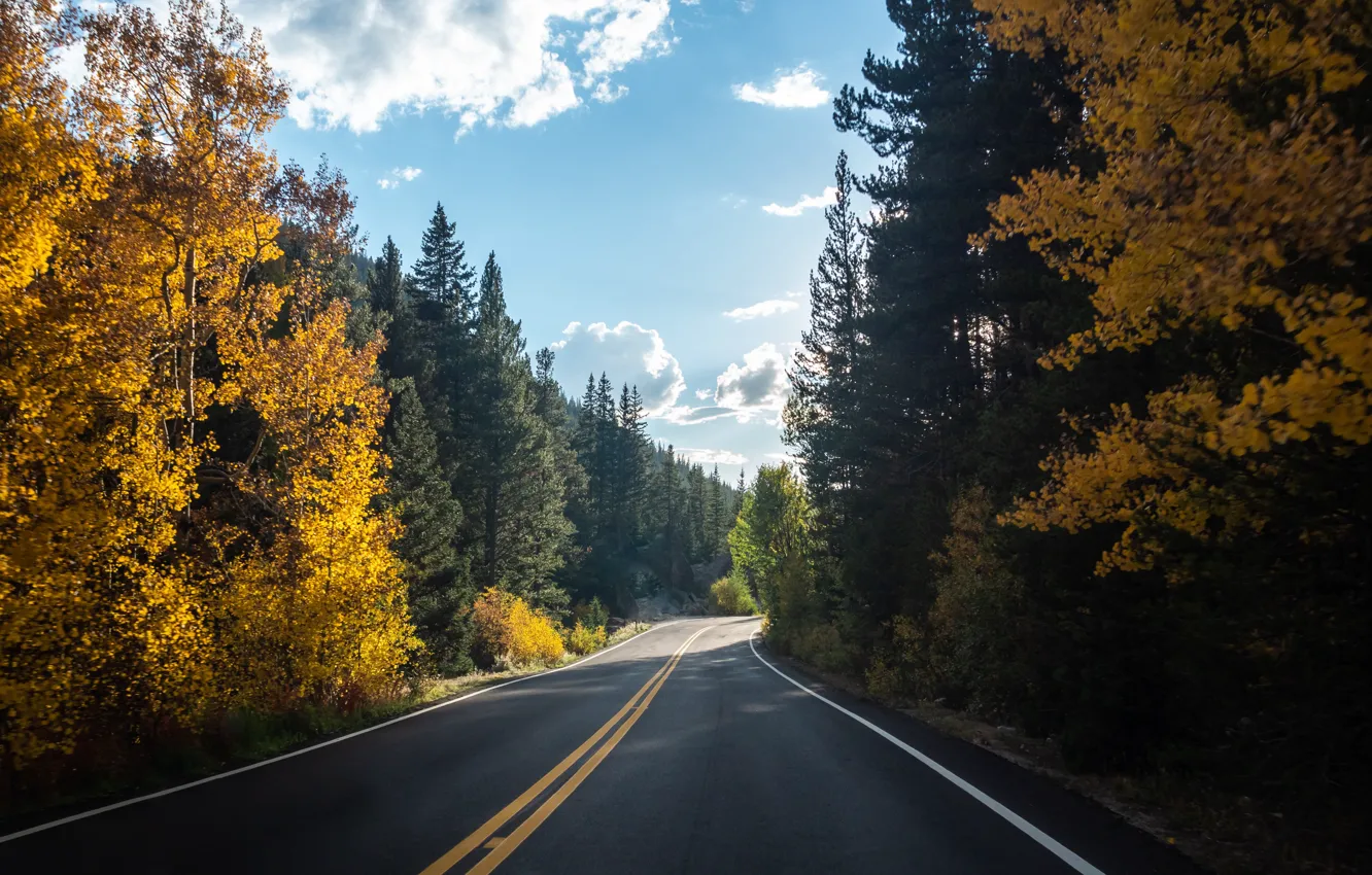 Photo wallpaper forest, sky, trees, landscape, nature, clouds, Road, fall