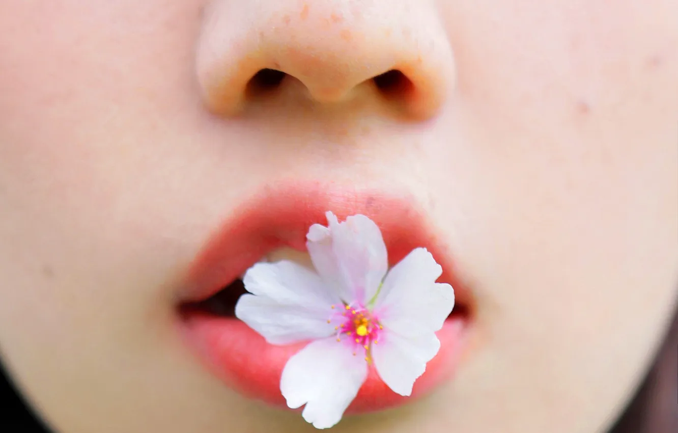Photo wallpaper flower, woman, model, face, asian, close up, Close Shot, Close Face