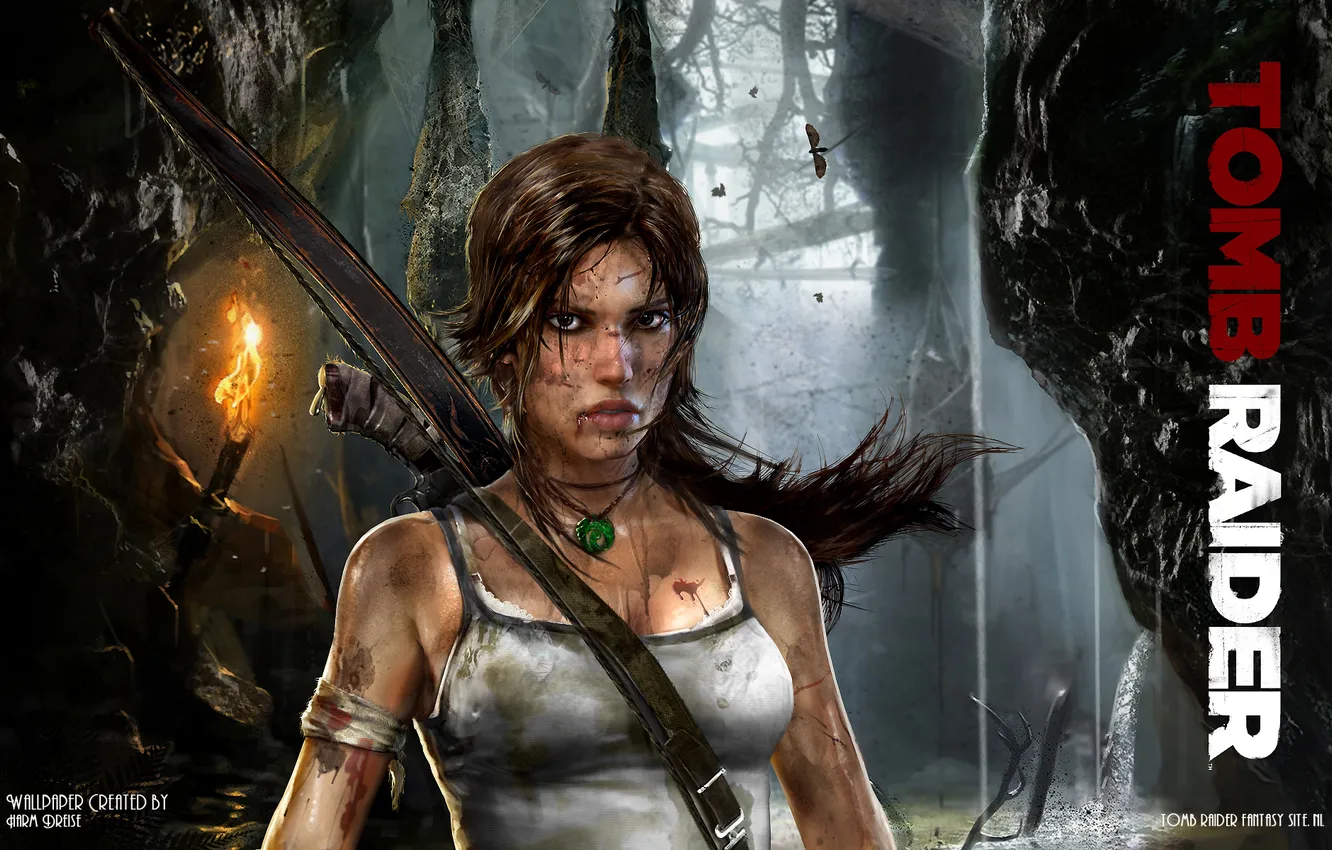 Photo wallpaper Tomb Raider, Lara Croft, 2012 Games