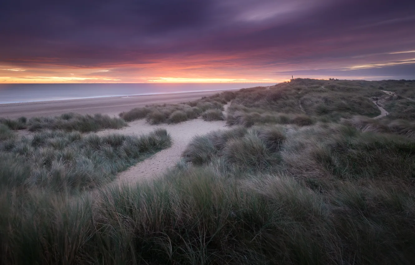 Photo wallpaper sand, sea, beach, the sky, grass, clouds, dawn, hills
