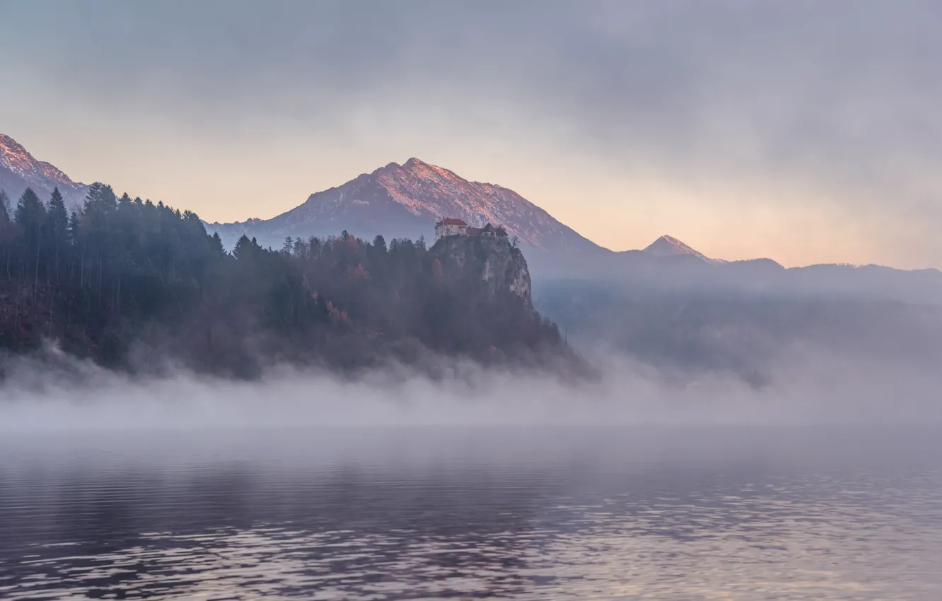 Photo wallpaper trees, mountains, fog, rocks, dawn, Slovenia, Slovenia, Bled castle