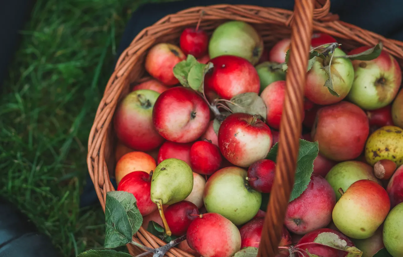 Photo wallpaper red, apples, harvest, fruit, basket, pear, a lot, bokeh