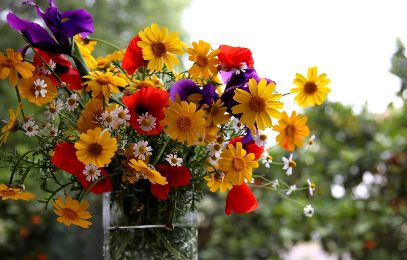 Photo wallpaper summer, flowers, bouquet, vase