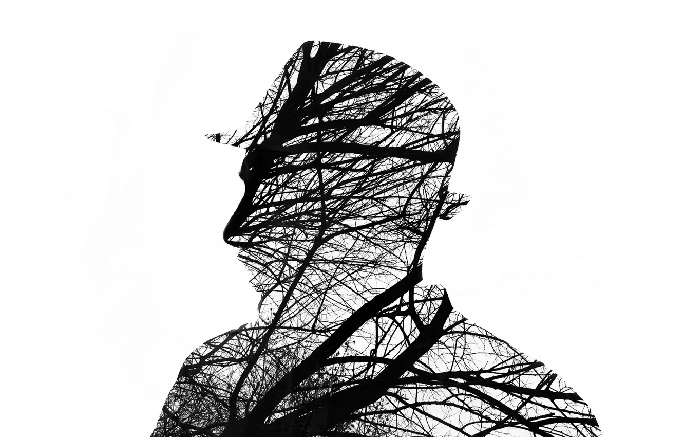 Photo wallpaper man, branches, silhouette
