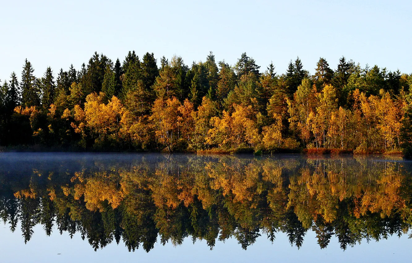 Photo wallpaper forest, reflection, trees, lake, Autumn, September