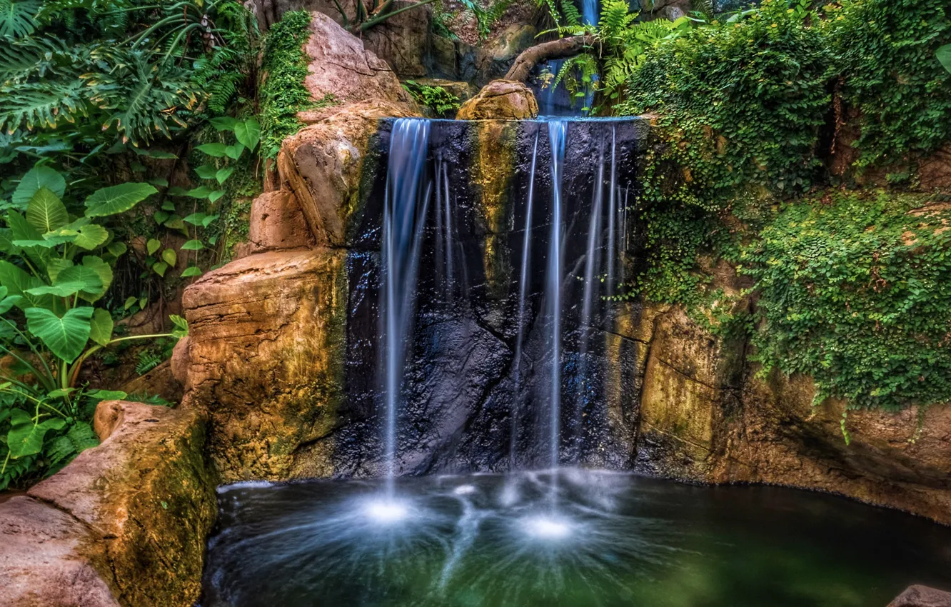 Photo wallpaper water, rock, Park, waterfall, HDR, plants, rock, nature