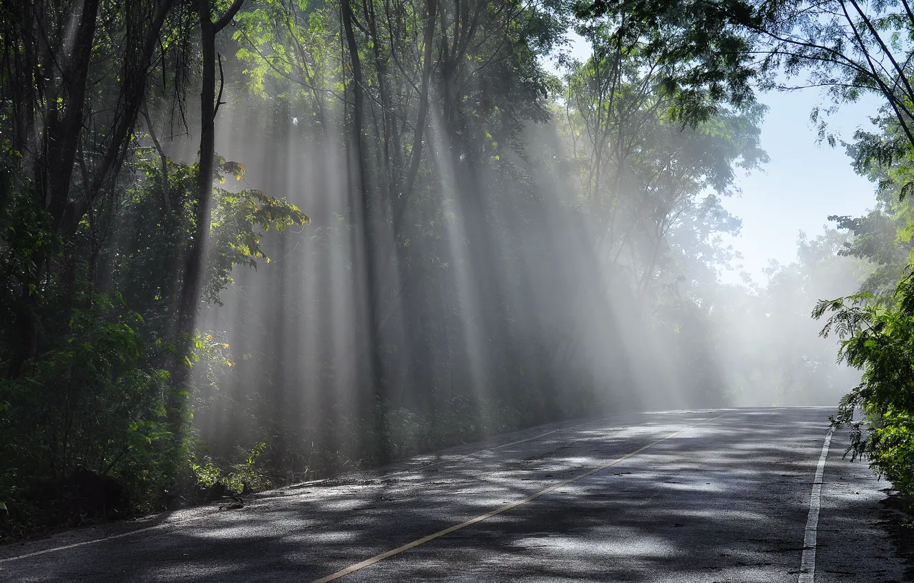 Photo wallpaper road, sky, trees, rays, sun