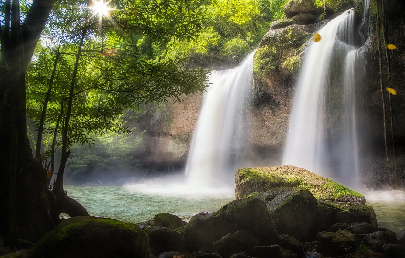 Photo wallpaper water, trees, waterfall