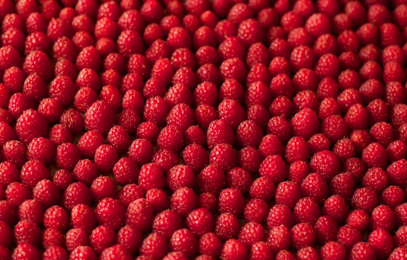 Photo wallpaper macro, raspberry, food, berry, a lot