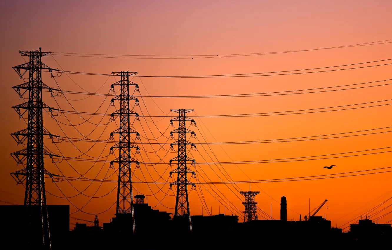 Photo wallpaper dawn, wire, morning, tower