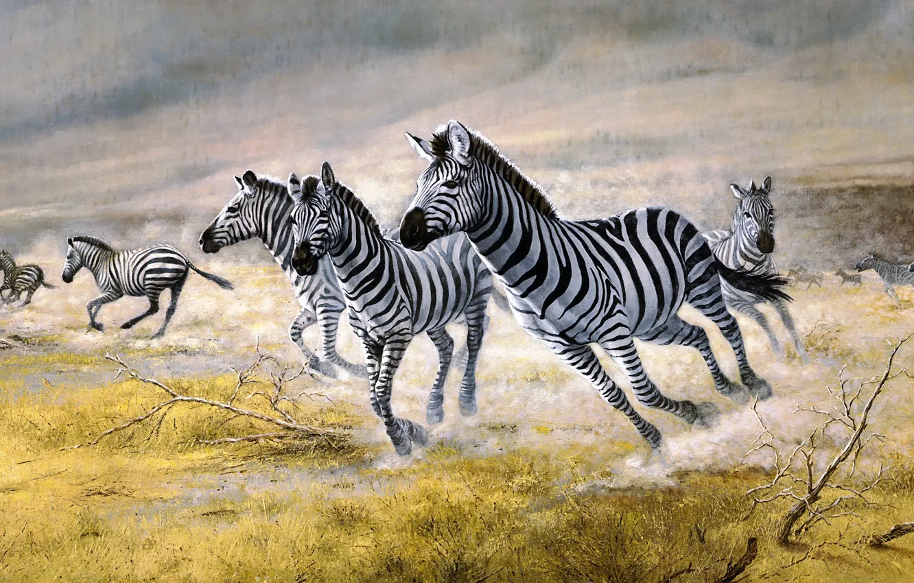 Photo wallpaper figure, picture, dust, art, running, Zebra, Savannah, painting