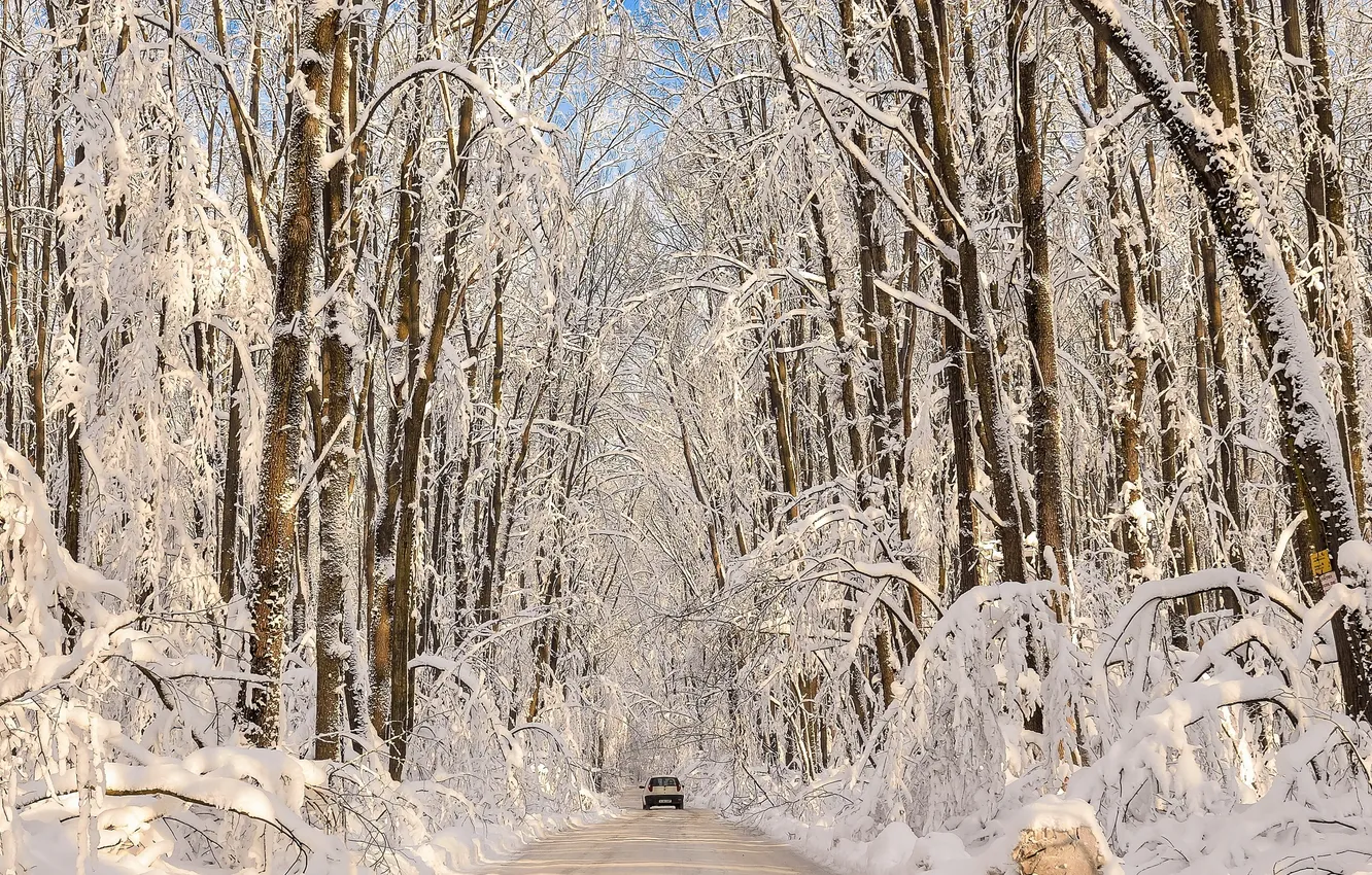 Photo wallpaper winter, road, forest
