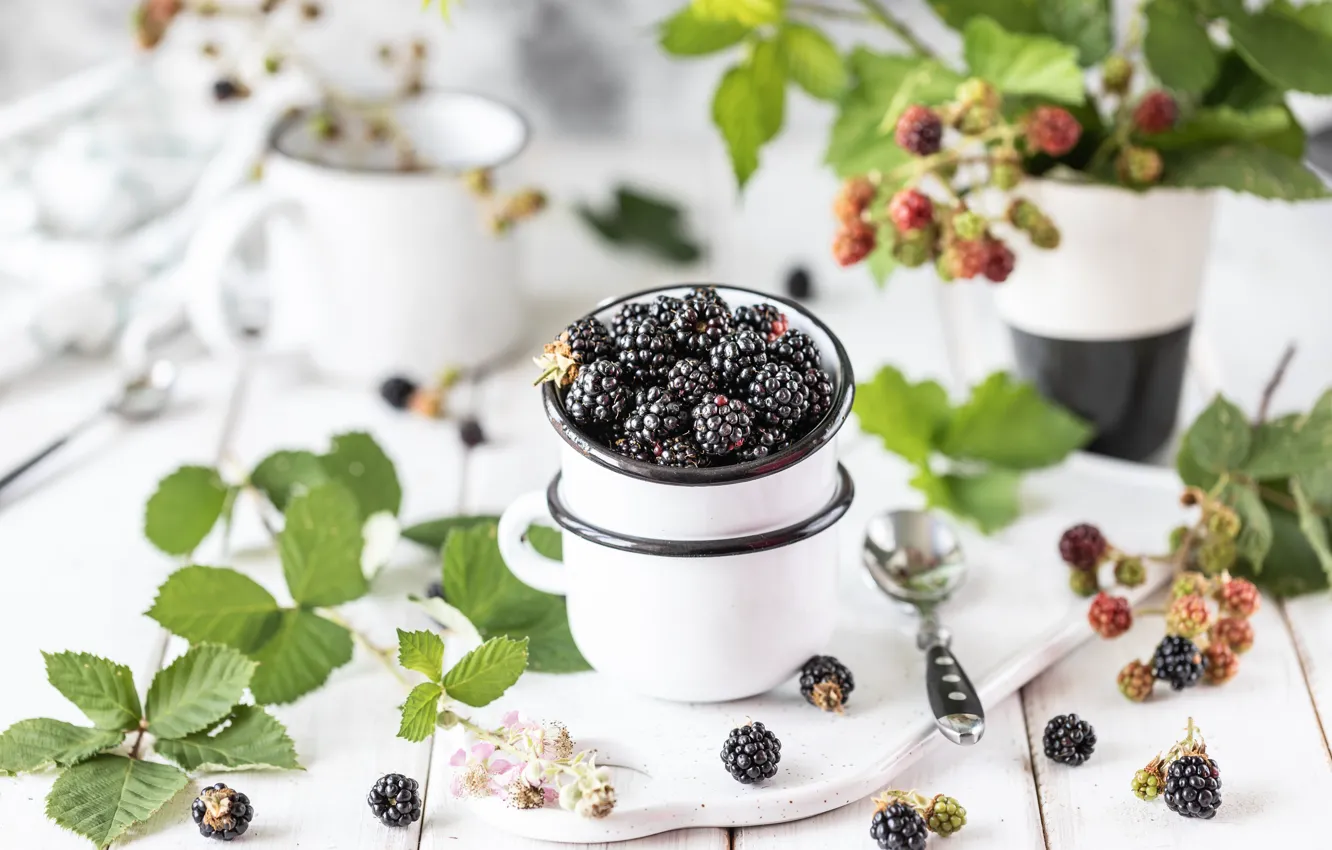 Photo wallpaper berries, Cup, BlackBerry, twigs, Karina Klachuk